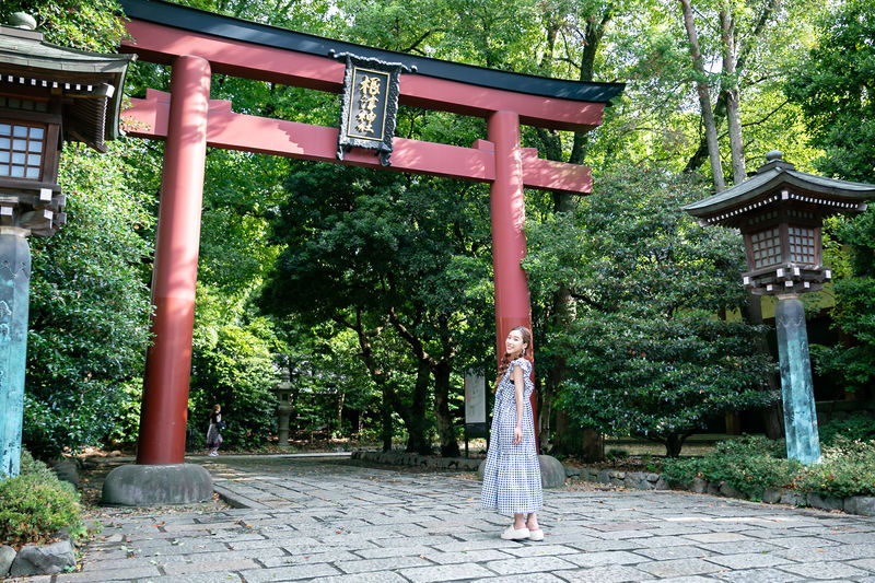 Tokyo Yanaka, Nezu, Sendagi Half-Day Private Cultural Tour - Yanaka, Nezu, and Sendagi, neighborhood by neighborhood