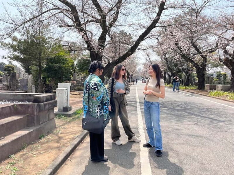Tokyo Yanaka Old Town Walking Tour (Private/Local guide) - Good To Know