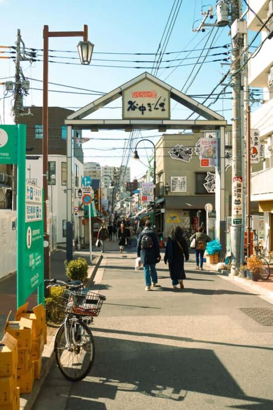 Tokyo: Yanaka Old Town Walking Tour - Introduction