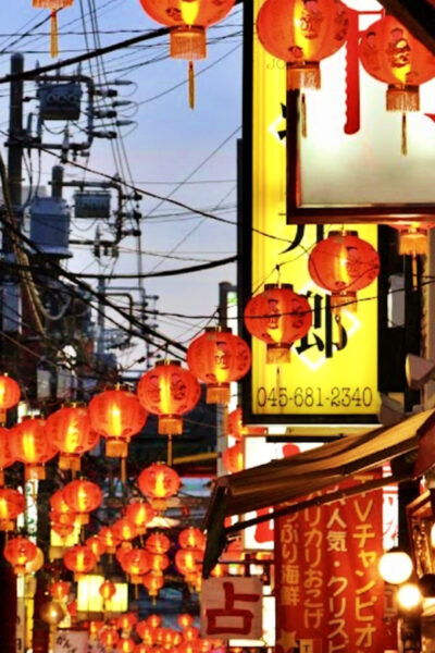 Tokyo & Yokohama: Highlights From City to City Full-Day Tour - Inclusions and Additional Services