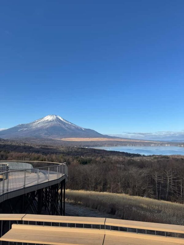Tokyo/Yokohama: Mount Fuji & Hakone Private Full-Day Tour - Good To Know