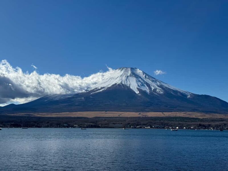 Tokyo/Yokohama: Mount Fuji & Hakone Private Full-Day Tour - Who Will Love This Tour?