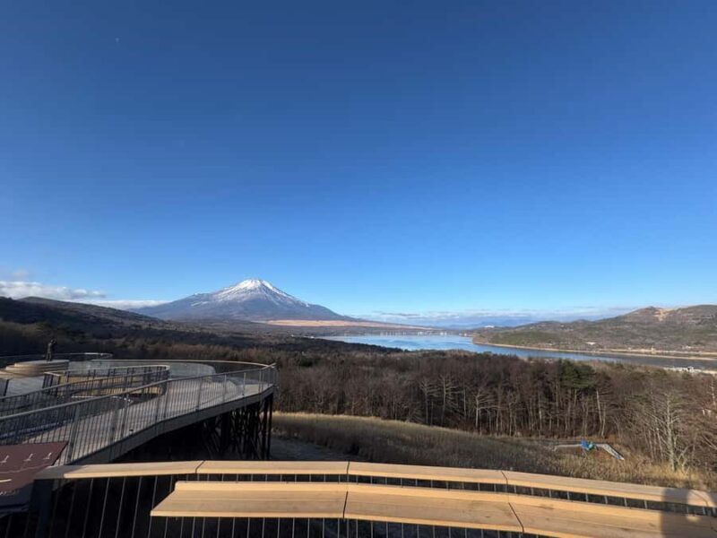 Tokyo/Yokohama: Mount Fuji & Hakone Private Full-Day Tour - FAQs
