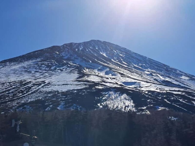 Tokyo/Yokohama: Mount Fuji & Hakone Private Full-Day Tour - Final Thoughts