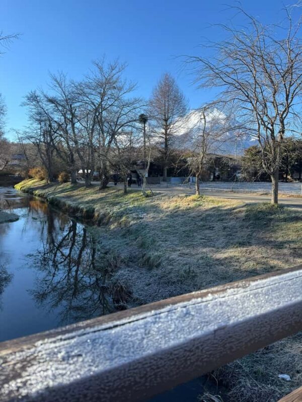 Tokyo/Yokohama: Mount Fuji & Hakone Private Full-Day Tour - Good To Know