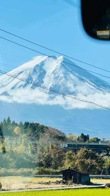 Tokyo/Yokohama: Mt. Fuji and Hakone Private Day Trip - Authentic Experiences and Practical Tips