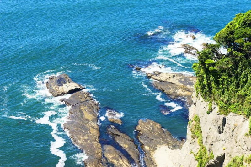 Tokyo Yokohama Night View Tour With Kamakura And Enoshima - Good To Know