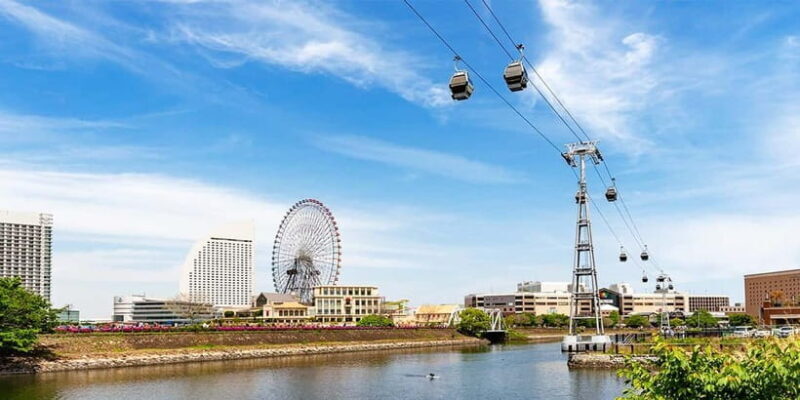 Tokyo Yokohama Night View Tour With Kamakura And Enoshima - Enoshima Island: Myth, Magic, and Scenic Spots