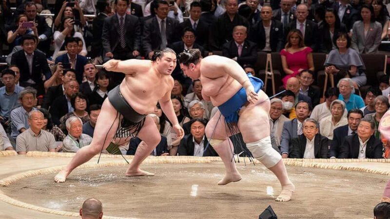 Tokyo: Yokohama Sumo Jungyo Tournament Trip on Apr 16th 2026 - The Experience in Detail