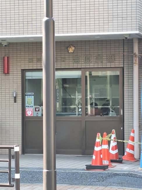 Tokyo: Yoshiwara Brothel History Walking Tour - Good To Know