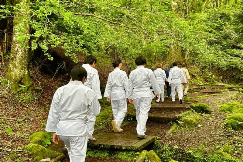 Tokyo: Yuhi no Taki Waterfall Meditation Experience - The Value of the Experience