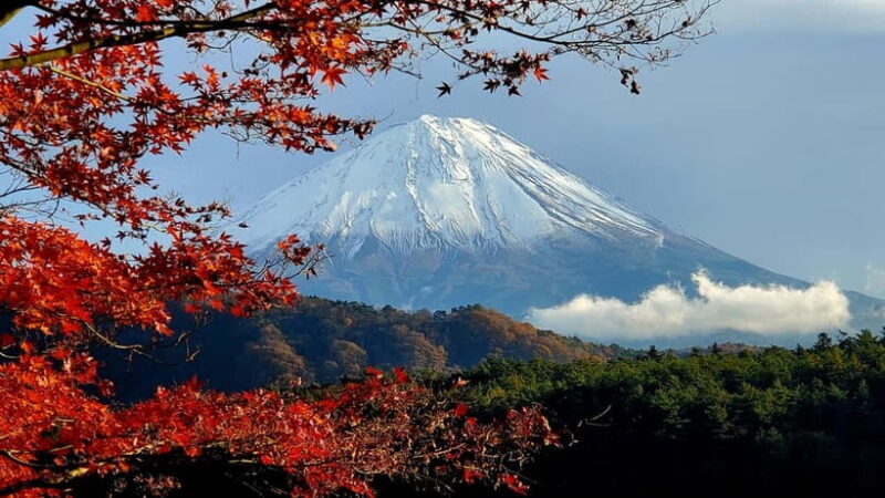 Tokyo:2 Days Mount Fuji & Hakone Private Tour (Customizable) - Good To Know