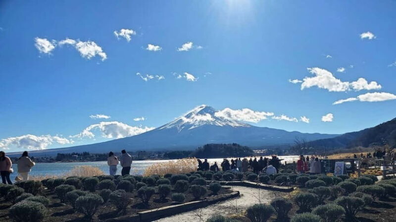 Tokyo:2 Days Mount Fuji & Hakone Private Tour (Customizable) - An In-Depth Look at the 2-Day Private Tour from Tokyo