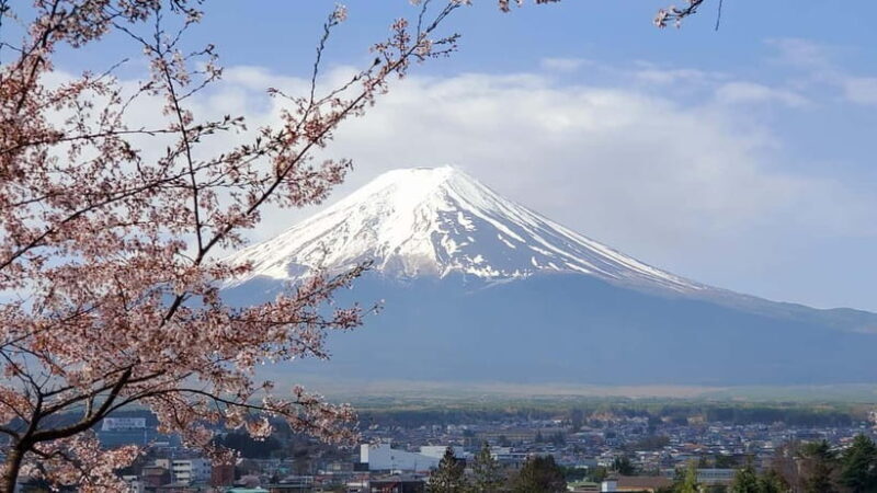 Tokyo:2 Days Mount Fuji & Hakone Private Tour (Customizable) - Why This Tour Offers Good Value