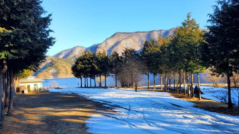 Tokyo:2 Days Mount Fuji & Hakone Private Tour (Customizable) - Who Would Enjoy This Tour?