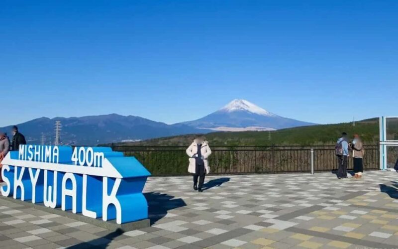 Tokyo:Customizable Private Day Trip to Mt.Fuji & Safari Park - An In-Depth Look at the Tour