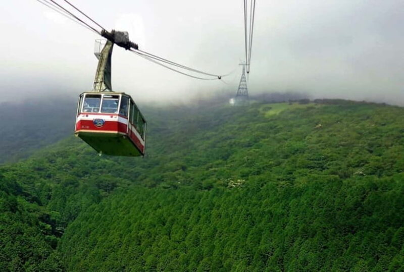 Tokyo:Hakone,Mt.Fuji,Cruise,ropeway,w/lunch,Shinkansen - Who Would Love This Tour?