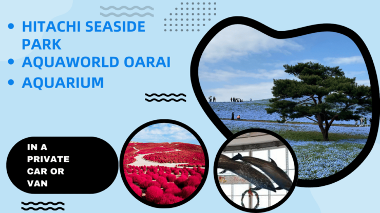 Tokyo:Hitachi Seaside Park and Aquaworld Oarai Aquarium Tour - Good To Know
