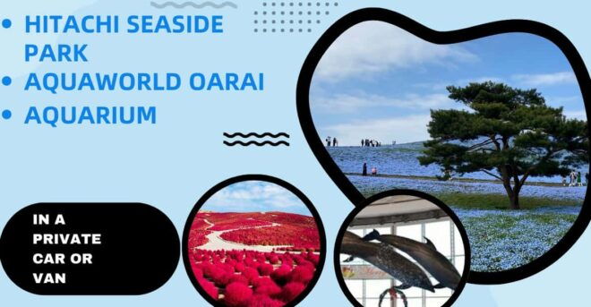 Tokyo:Hitachi Seaside Park and Aquaworld Oarai Aquarium Tour - Highlights of Hitachi Seaside Park