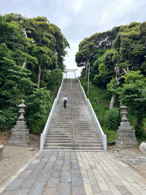 Tokyo:Hitachi Seaside Park/Oarai Isosaki Shrine Private Tour - Itinerary Highlights