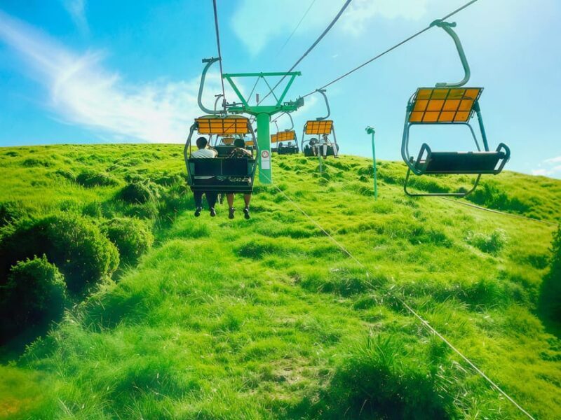 Tokyo:Izu Penisula Train Mt Omuro, Capybara Sightseeing Trip - FAQ