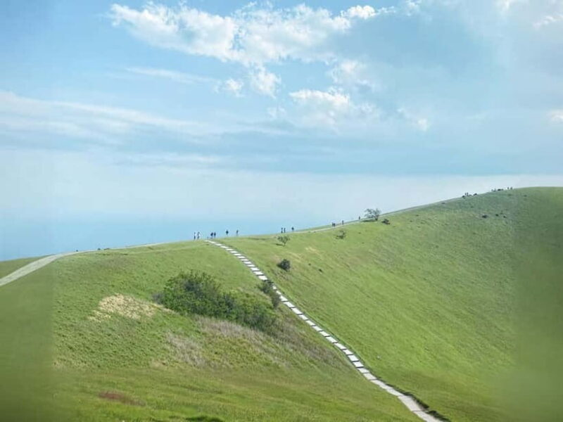 Tokyo:Izu Penisula Train Mt Omuro, Capybara Sightseeing Trip - Return Journey and Final Thoughts