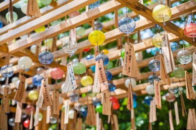 Tokyo:Karuizawa,Hoshino Resorts Area,Glacier Shrine Day Tour - Inclusions and Exclusions