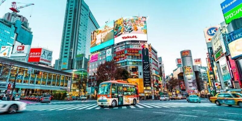 Tokyo:Luxury Private Tour with English-Speaking driver - Authentic Feedback from Past Travelers