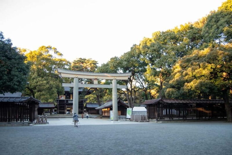 Tokyo:Meiji Shrine,Imperial Palace,Asakusa,Odaiba,cruise - Final Thoughts: Who Will Love This Tour?