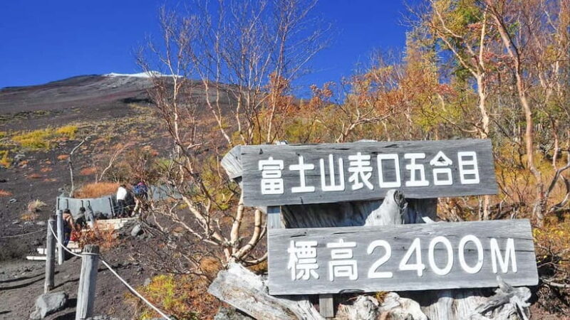Tokyo:Mt. Fuji 5th Station&Onsen Day Trip | Seasonal Special - Good To Know