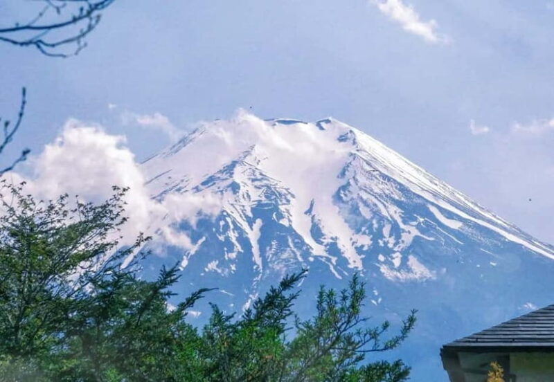 Tokyo:Mt. Fuji 5th Station&Onsen Day Trip | Seasonal Special - An In-Depth Look at the Itinerary