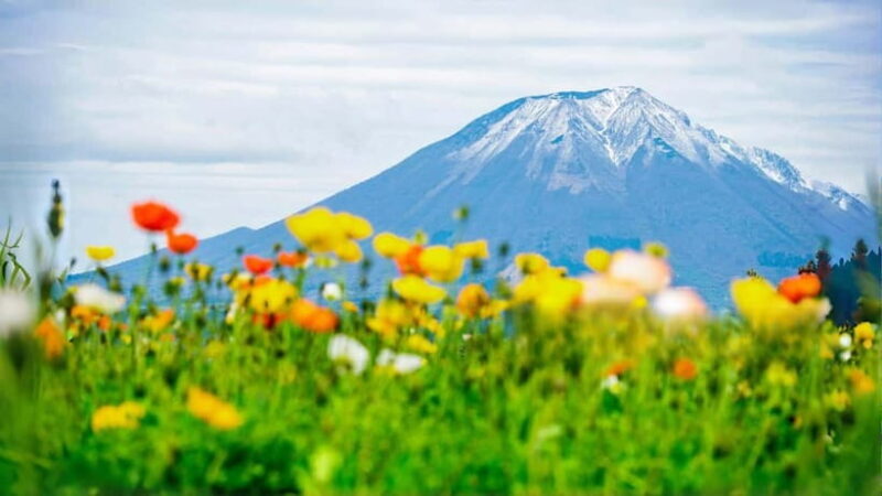 Tokyo:Mt. Fuji 5th Station&Onsen Day Trip | Seasonal Special - Who This Tour is Best For
