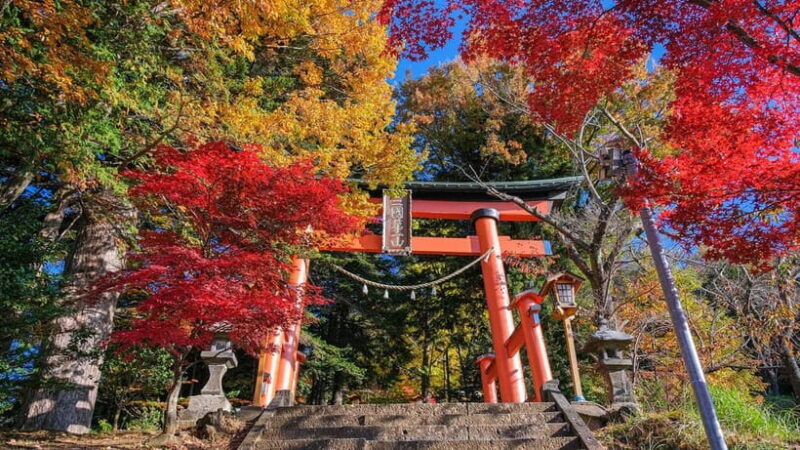 Tokyo:Mt. Fuji 5th Station&Onsen Day Trip | Seasonal Special - Final Thoughts