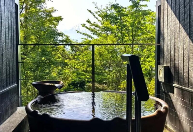 Tokyo:Mt. Fuji 5th Station&Onsen Day Trip | Seasonal Special - FAQ