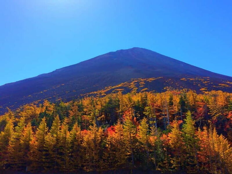 Tokyo:Mt.Fuji 5th Station,Oshino Hakkai&Kawaguchiko Day Tour - Good To Know