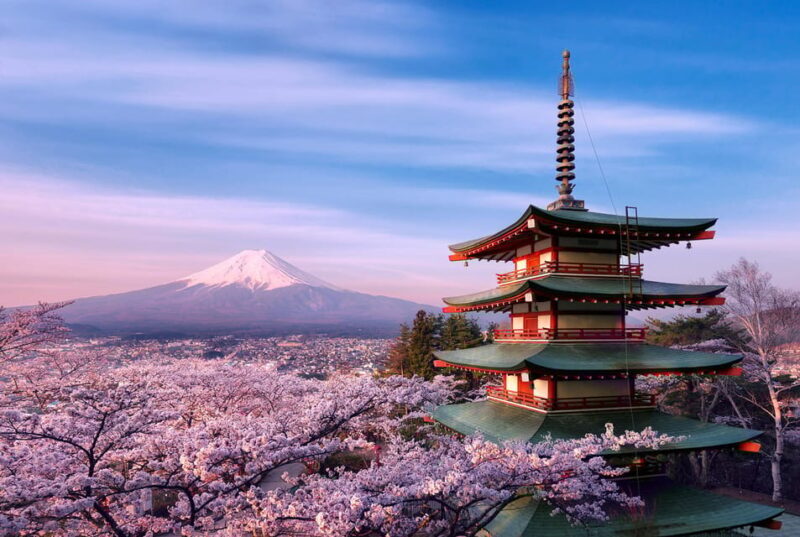 Tokyo:Mt Fuji & Hakone Day Tour with English Speaking Driver - Value for Money