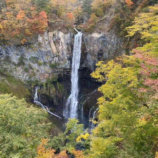 Tokyo:Nikko UNESCO World Heritage Sites Private 1-Day Tour - Good To Know