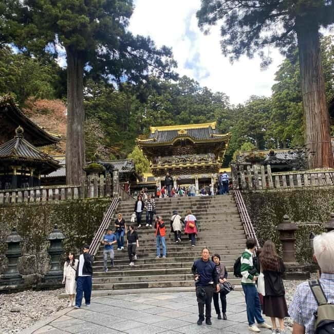 Tokyo:Nikko UNESCO World Heritage Sites Private 1-Day Tour - Who Will Love This Tour?
