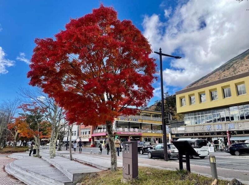 Tokyo:Nikko World Heritage Sites Customized Private Day Trip - Who Should Consider This Tour?