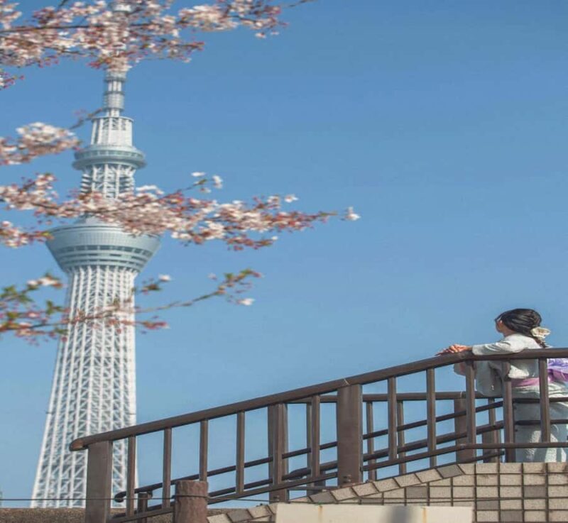 Tokyo:Private Custom Tour History, Art & Iconic Landmarks - Good To Know