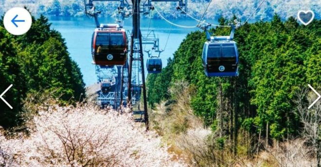 Tokyo:Private Luxury Car Tour to Mt. Fuji and Lake Kawaguchi - Accessibility Options