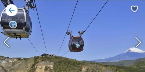Tokyo:Private Luxury Car Tour to Mt. Fuji and Lake Kawaguchi - Inclusions and Exclusions