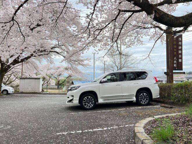 Tokyo:Private Mt Fuji Sightseeing Tour in Luxury Landcruiser - Luxury Experience