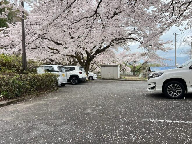 Tokyo:Private Mt Fuji Sightseeing Tour in Luxury Landcruiser - Tailored Experiences