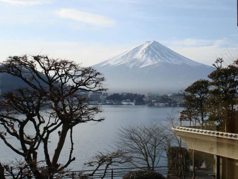 Tokyo:Private Tour to Mount. Fuji + Hakone W/ Driver - Authentic Insights From Reviews