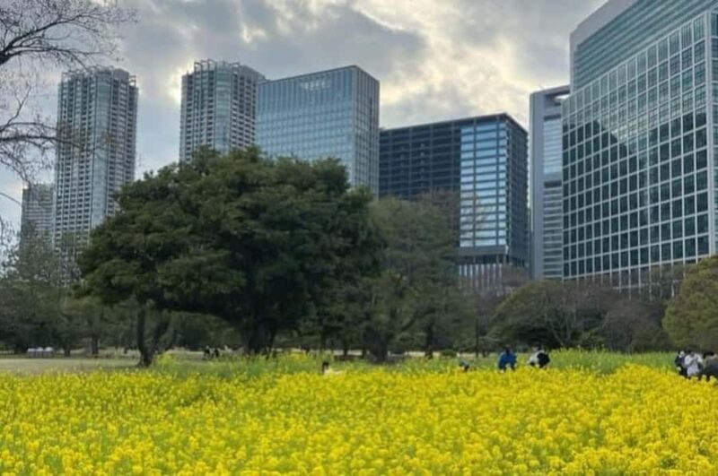 Tokyo's Contrasts: 9-Hour Guided Cultural Journey - Final Thoughts