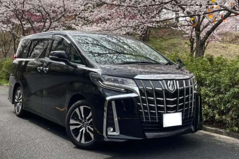 Tokyo's Contrasts: 9-Hour Guided Cultural Journey - Good To Know