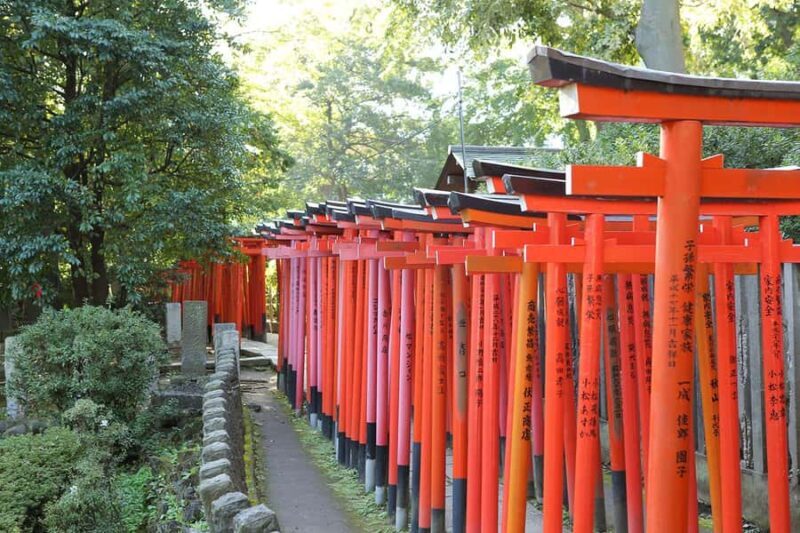 Tokyos last surviving old-town district: Yanaka Ginza Walk - Final Thought: Is This Tour Worth It?