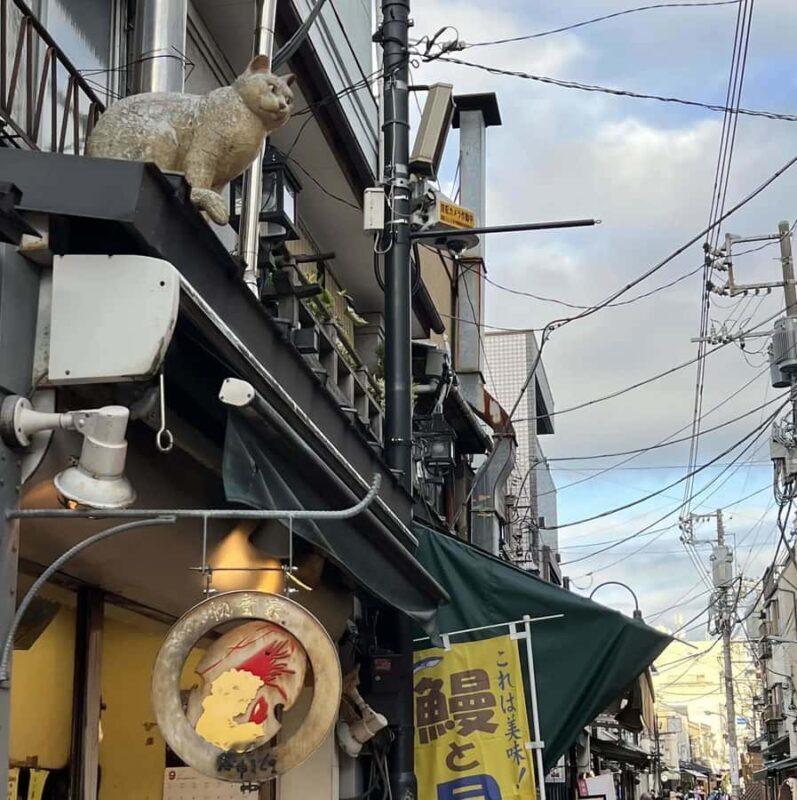 Tokyos last surviving old-town district: Yanaka Ginza Walk - FAQ