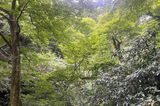 Tokyos Mt. Takao Hike - What’s Included and What to Consider